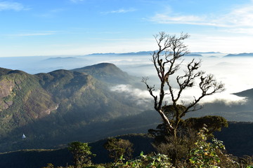 Obraz premium LEVER DE SOLEIL SUR LE PIC D'ADAM AU SRI LANKA