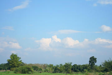 fields and trees on sky background