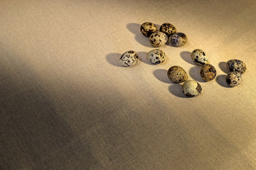 Quail eggs on linen fabric
