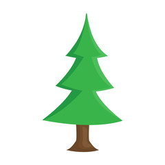 Christmas tree isolated illustration on white background