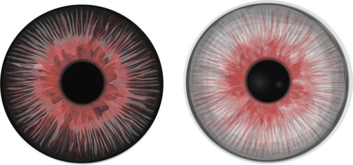 Collection of decorative eye iris. Halloween vector set