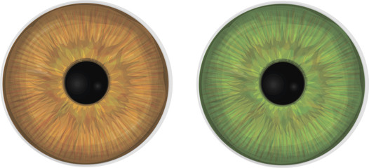 Collection of decorative eye irises