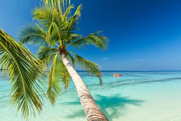 Fototapeta premium Tropikalna plaża