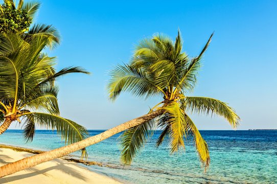 Tropical beach