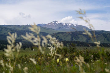Obraz premium South Altay Region