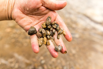 Small stones in the hand on the pond