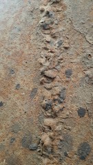 texture of rusty metal . Rusty background