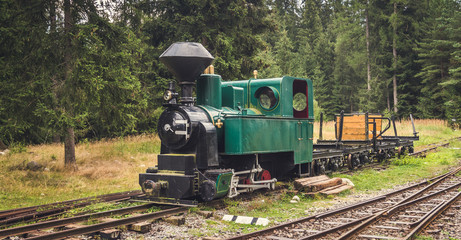 Fototapeta premium Beautiful Old Steam Locomotive in the Forest
