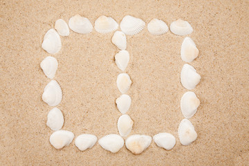 Frame made of white seashells on a beach