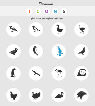 birds icon set