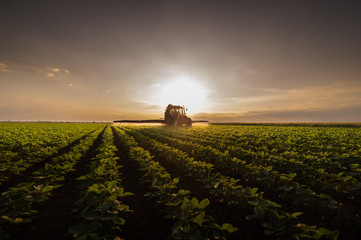 Tractor spraying pesticides on soybean field with sprayer at spring