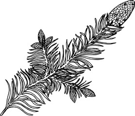 Black and white illustration of a branch. Bumps on a branch
