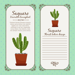 Vintage label with saguaro plant