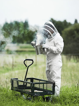 Beekeeper using smoke tool