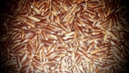 Beautiful Grain Background.