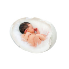Newborn baby in the egg. Fetus, embryo, IVF concept. © Vitalinka