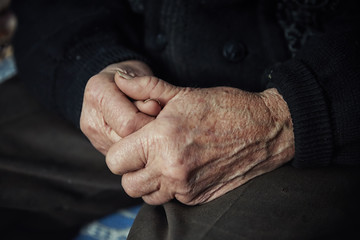 Fototapeta premium old man hands