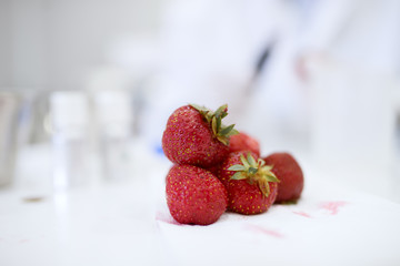 Doctor and nurse doing a research on GMO fruit. Testing strawberries chemical specifications.