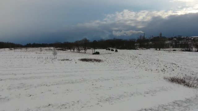 Cars leave for the forest