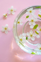 White flowers in bowl of water