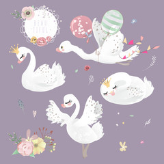 Beautiful white swan (goose, duck) with crown, flowers and balloons collection, set
