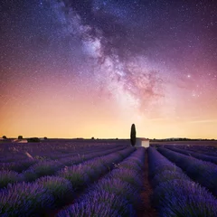 Abwaschbare Fototapete Lavendel Lavendel Milchstraße