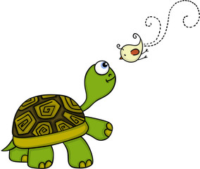 Turtle and bird are the best friend
