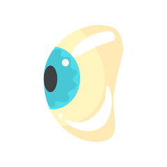Human blue eye, ophthalmology concept cartoon vector Illustration