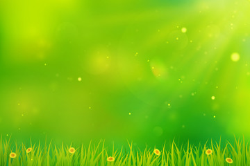 Obraz premium Green background with grass and flowers.