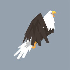 North American Bald Eagle character, symbol of USA vector illustration