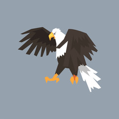 North American Bald Eagle, symbol of freedom and independence vector illustration