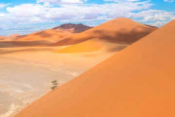 Fototapeta na wymiar Hiking Big Daddy, among the world's tallest dunes near Sossusvlei in the Namib-Naukluft National Park of Namibia.
