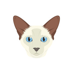 Balinese cat isolated on white background vector illustration