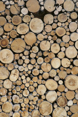 Sawn timber logs prepared and stacked for a wood burning stove. Close up in full frame and a vertical format. Timber industry concept. 