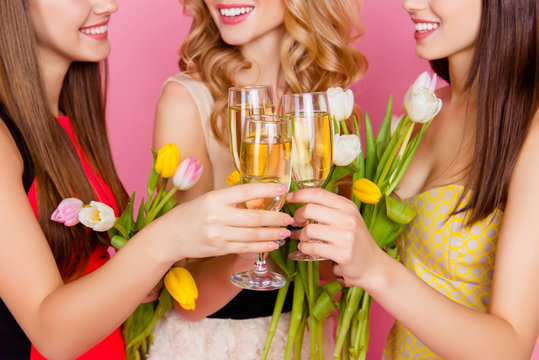 Close up cropped portrait of three, charming, pretty, trendy girls celebrating women's day, 8 march, holding colorful tulips and drinking, clinking glasses with champagne over pink background