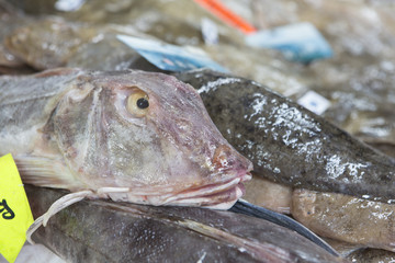Wochenmarkt, Marktstand mit Fisch und Meeresfrüchten, Krustentiere