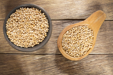 Yellow Mustard Seeds - Sinapis alba