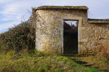 vignes et campagne de bourgogne