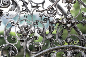 Metal flower fence background