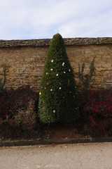 vignes et campagne de bourgogne