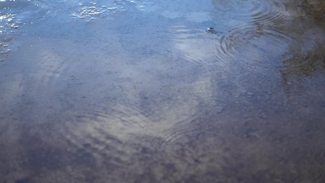 Raindrops on the surface of a puddle. Splashes from drops of water in a puddle on the asphalt.