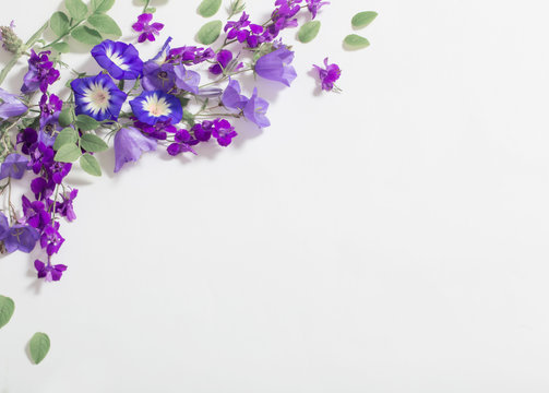 Blue Summer Flowers On White Background