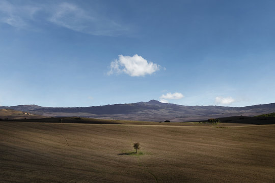 Tuscany Landscape in Val D'Orcia Countryside