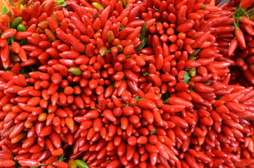 Peperoncini rossi