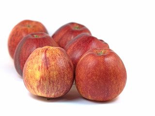 Äpfel, Tafeläpfel, Malus