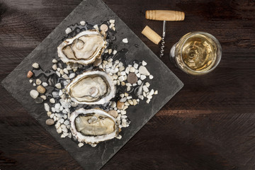 Overhead photo of oysters with wine and place for text