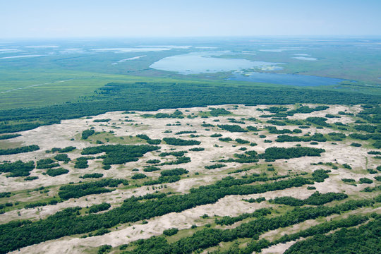 Aerial View Over Letea Forest in the Danube Delta, Romania