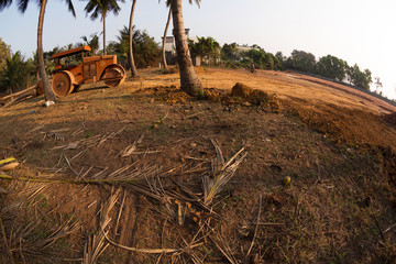 palm trees grow and the sawn-offs lie on the ground, near construction machinery, the concept of ecology and environmental protection - obrazy, fototapety, plakaty