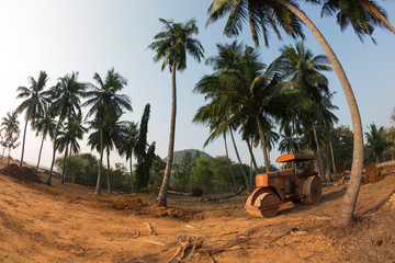 palm trees grow and the sawn-offs lie on the ground, near construction machinery, the concept of ecology and environmental protection - obrazy, fototapety, plakaty