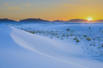 Winding Sand Dune at Sunset at White Sands National Monument